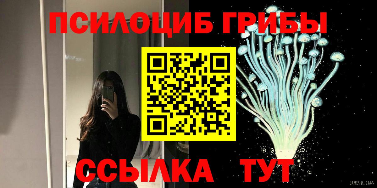 Галлюциногенные грибы GOLDEN TEACHER  закладки  Бахчисарай  Вход с VPN 